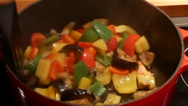 Cooking Ratatouille Nice — Stock Video