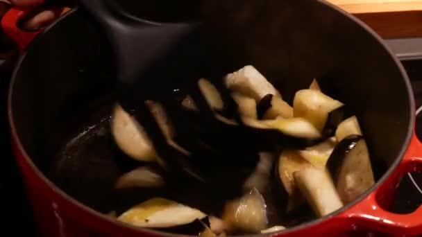Cooking Ratatouille Nice — Stock Video