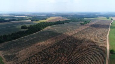 Gökyüzünden Verdon bölgesel doğal parkının göbeğindeki lavanta tarlası