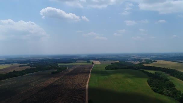 Levandulové Pole Srdci Regionálního Přírodního Parku Verdon Oblohy — Stock video