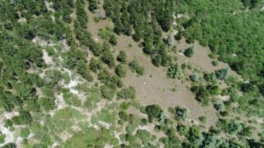 Fransa 'nın Provence kentindeki Mont Ventoux civarında gökyüzünden