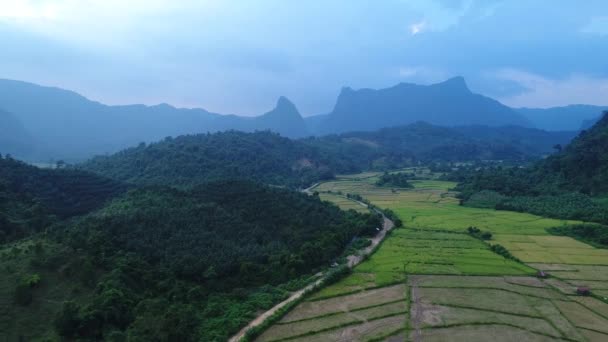 Río Cerca Ciudad Vang Vieng Laos Visto Desde Cielo — Vídeo de stock