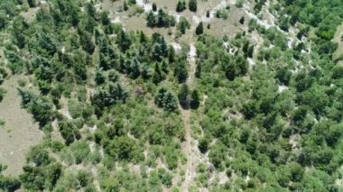 Fransa 'nın Provence kentindeki Mont Ventoux civarında gökyüzünden