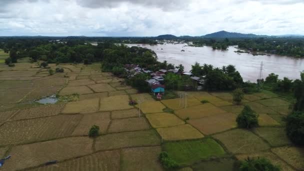 Phan Don 000 Îles Près Don Det Dans Sud Laos — Video