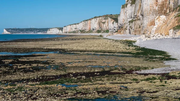 Plaża Yport Normandii Francji — Zdjęcie stockowe