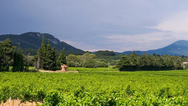 Unterwegs Zwischen Gidondas Und Beaume Venise Frankreich — Stockfoto