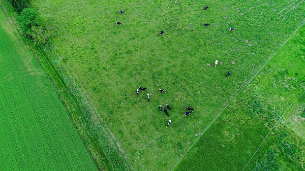 Dorp Siorac Perigord Frankrijk Gezien Vanuit Lucht — Stockfoto