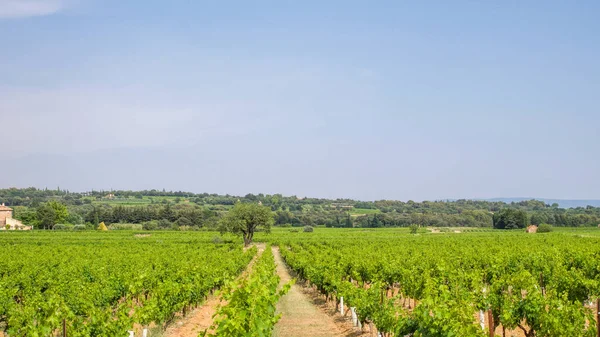 Unterwegs Zwischen Gidondas Und Beaume Venise Frankreich — Stockfoto