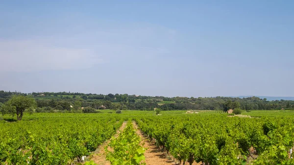 Unterwegs Zwischen Gidondas Und Beaume Venise Frankreich — Stockfoto