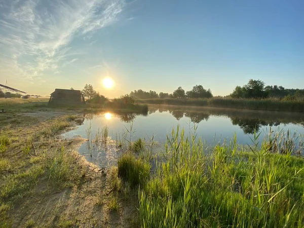 Ormanın yakınındaki göl. Ukrayna