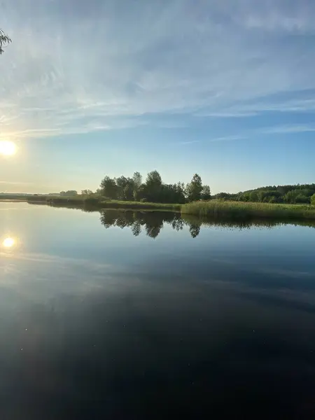 Yazın yeşil çim tarlası. Ukrayna. Poltava