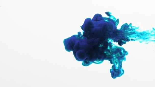 Beautiful Abstract Colorful Ink Colliding Water Όμορφα Χρώματα Του Μελανιού — Αρχείο Βίντεο