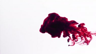 Sıvıya karışan kan kırmızısı mürekkep, açık alana yayılan kan kırmızısı bir mürekkep damlası. Sıvı hipnotize edici bir şekilde ayrılır. Birleşim, montaj, tanıtım, outros ve daha fazlası için mükemmel. Çarpıcı bir 4K..
