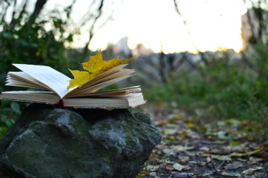 Vintage bir kitap düşmüş yaprak ile