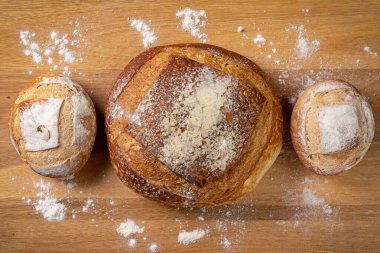 Doğal mayalı tahtadan yapılmış geleneksel ve lezzetli İtalyan ekmekleri. Üst görünüm