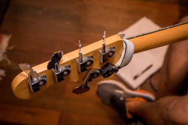 Çift baslı boyun. Üst görünüm.