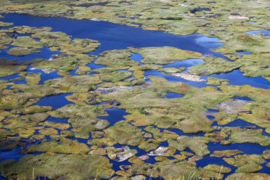 Paskalya Adası 'ndaki Rano Kau volkanı arkeolojik alanından detaylı görüntü kraterin içinde büyüyen bitki örtüsünü gösteriyor..