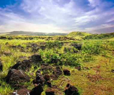 Paskalya Adası 'ndaki yeşil manzaranın panoramik görüntüsü - Rapa Nui, mavi gökyüzüne karşı volkanik kayaları ve bitki örtüsünü gösteriyor.