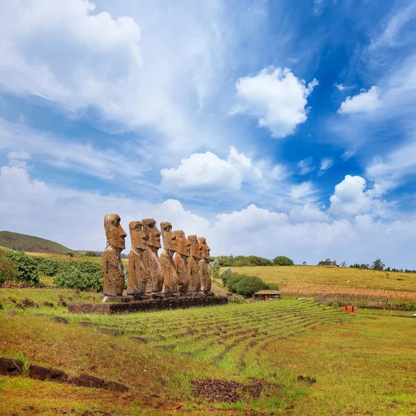 Statues Moai au complexe cérémonial Ahu Akivi sur l'île de Pâques, contre un ciel bleu. — Photo