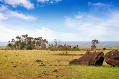 Paskalya Adası 'nda düşen bir Moai' nin panoramik görüntüsü, yeşil bitki örtüsüyle çevrili, okyanusa karşı ve mavi gökyüzüne karşı.