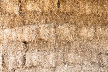 saman duvar doku arka plan.