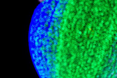 Renkli ışık çemberleri soyut arkaplan.