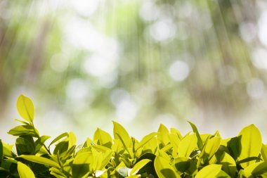 Granit arkaplan dokusu. Granit desenli arka plan.