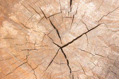 ahşap doku veya arka plan.