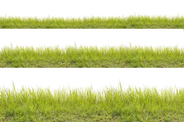 Groen Gras Geïsoleerd Witte Achtergrond — Stockfoto