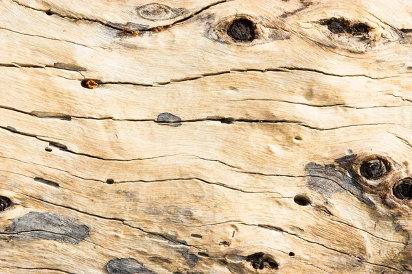 Wood texture or background. — Stock Photo, Image