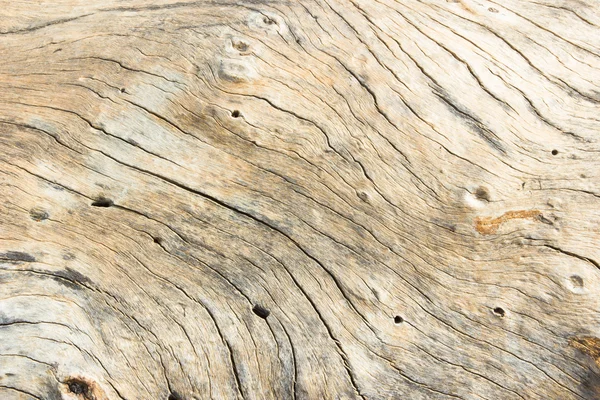 Fa texture vagy a háttér. — Stock Fotó