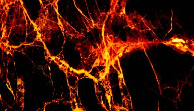 Altın mermer desen ya da arka plan. soyut altın .