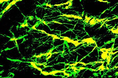 Altın mermer desen ya da arka plan. soyut altın .