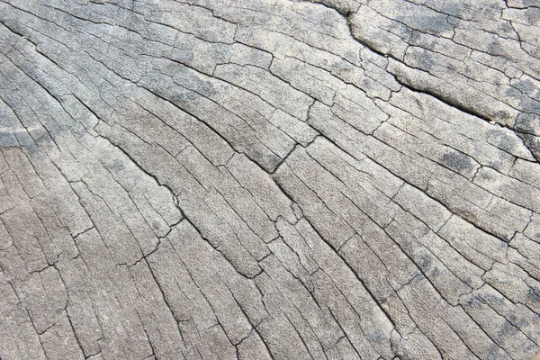 Wood texture — Stock Photo, Image