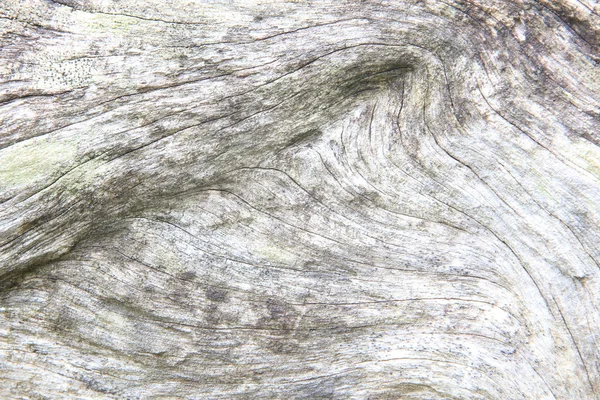 Texture of wood background closeup — Stock Photo, Image