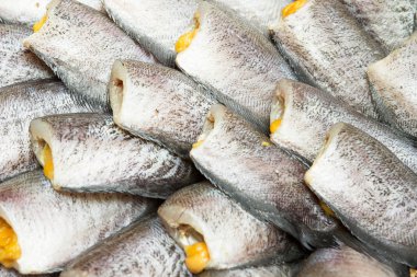 Yılan derisi gurami balığı, Pla Salit (Trichogaster pektoralis balık) 