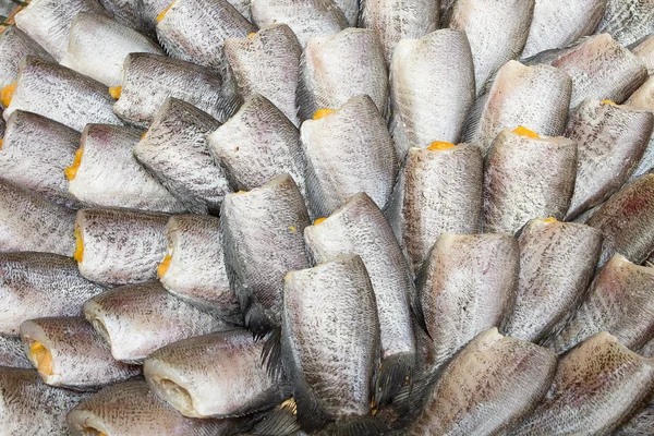 Yılan derisi gurami balığı, Pla Salit (Trichogaster pektoralis balık) 