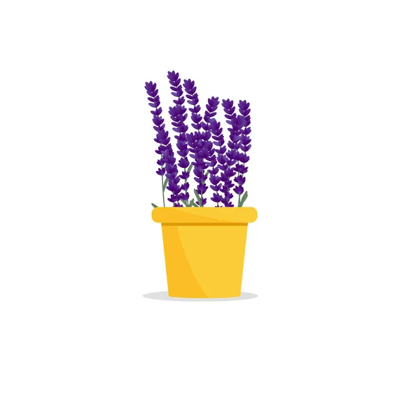 Bela Flor Pote Planta Numa Panela Lavanda Ilustração Vetorial Plana — Vetor de Stock