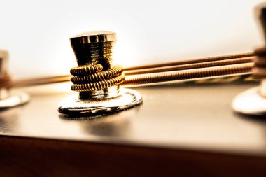 Mandolin başlıktaki düz beyaz arka planlı akort direğinin makro fotoğrafı
