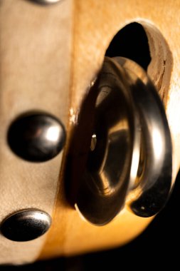 Tef Zills ve Perçin Macro Fotoğrafı