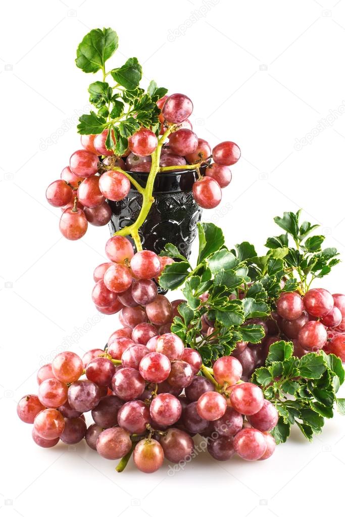 Ripe red grapes with white back ground