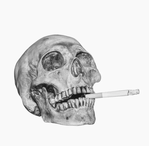 Tête crâne fumer cigarette isoler avec des chemins de coupe — Photo