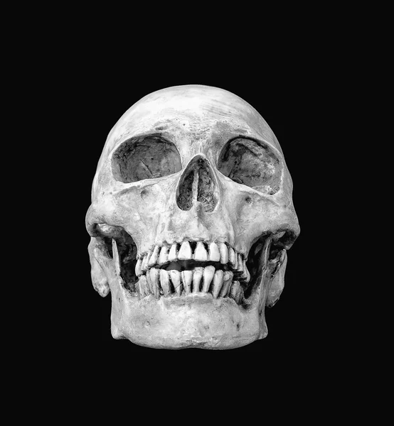 Crâne humain monochrome sur fond noir isolé — Photo