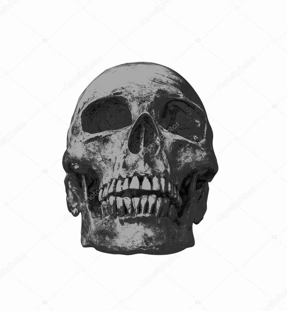 Human skull on isolated black background 