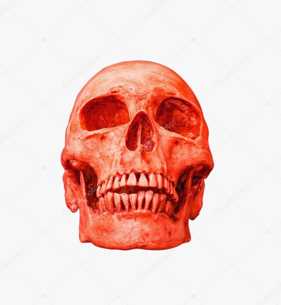 Red human skull on isolated black background with clipping paths