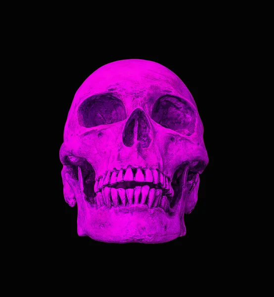 Рожевий людський череп на ізольованому чорному тлі — стокове фото