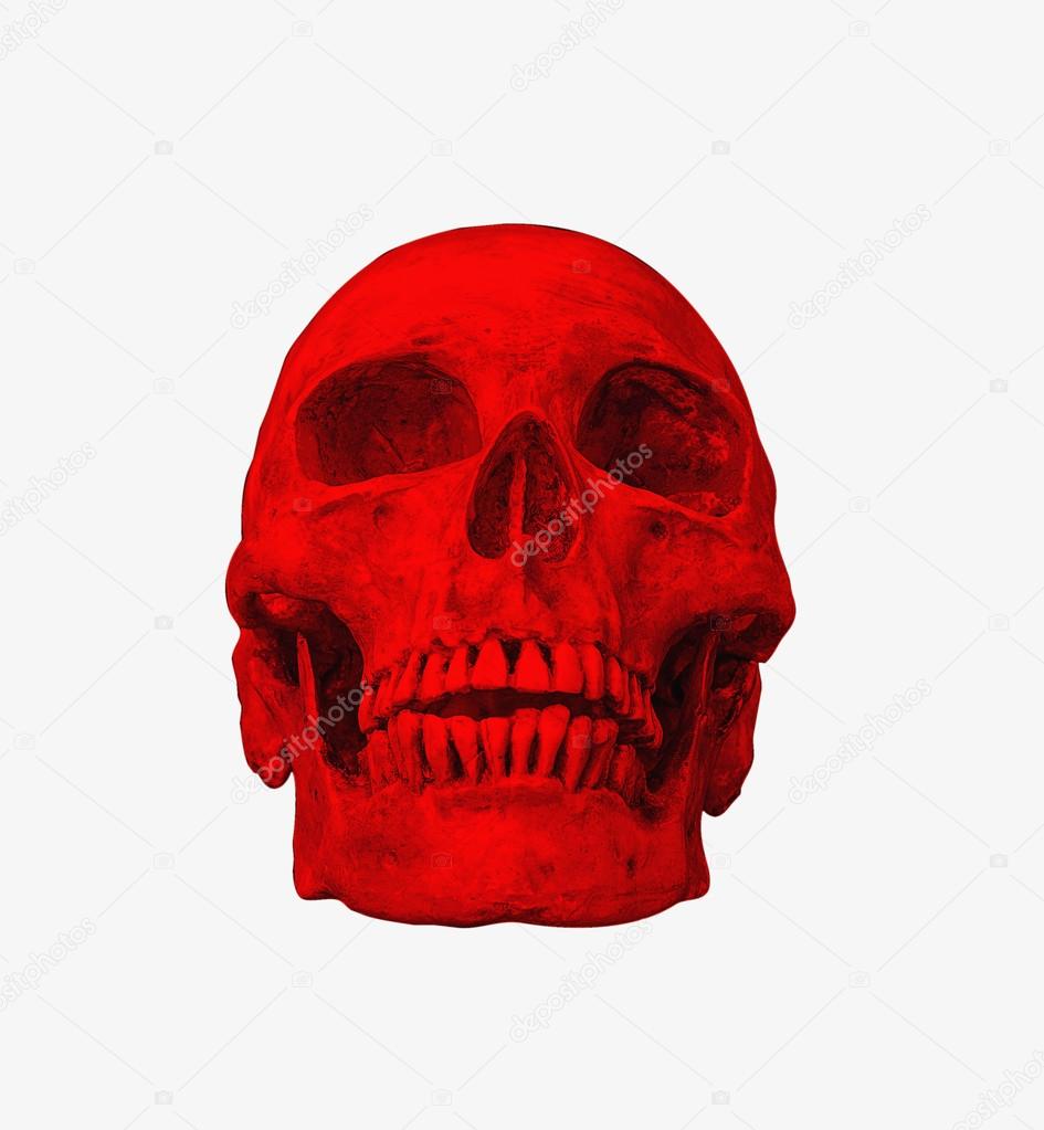 red human skull on isolated white background 