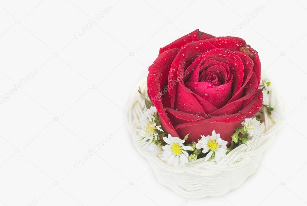 Red rose gift card