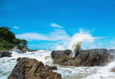 Hareket, rock ile yıkama dalgalar kıyıya sırasında bulanıklığı