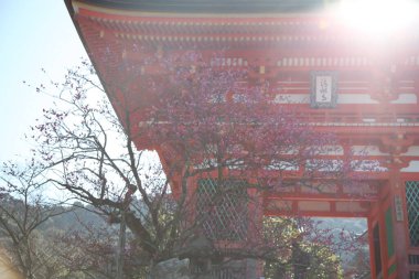 Kyoto, Japonya-12 Mart 2013: Higashiyama kiyomizu dera - Nio-mon